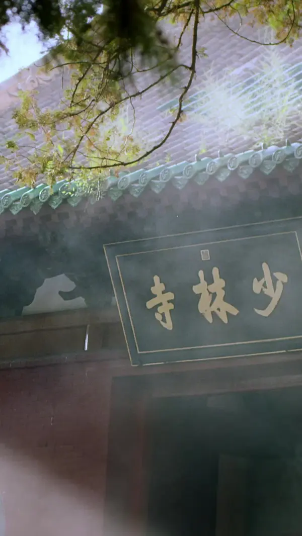 Legacy of Mount Song(Dubbed)
