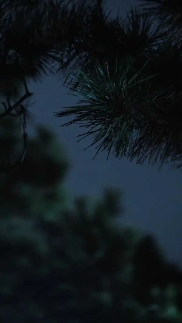 My Magic Luna