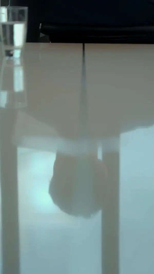 Don't Forget Your Mate, Alpha