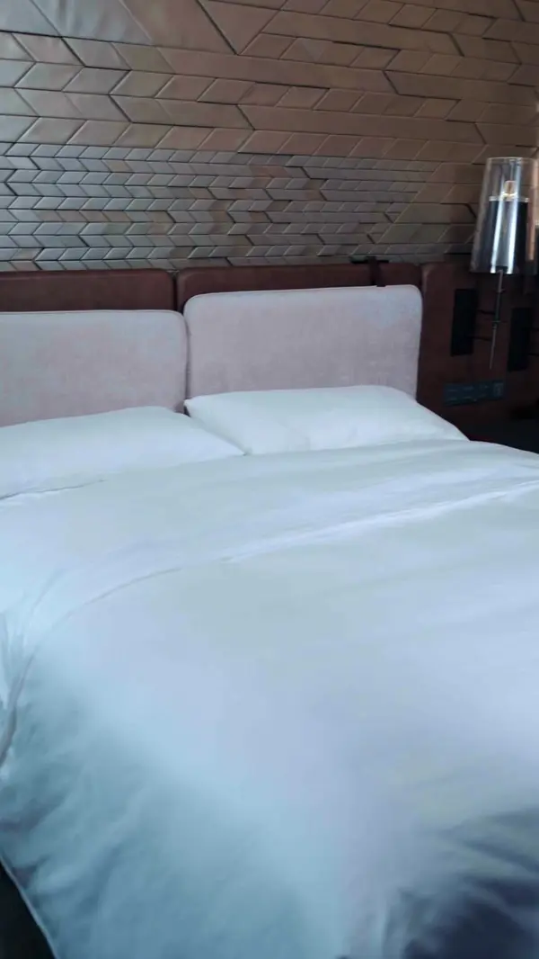 Accidentally Married a Sleeping Beauty(Dubbed)