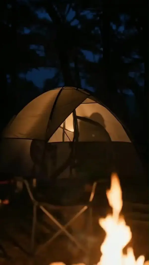 The Camping Night